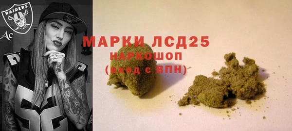 гашик Балахна